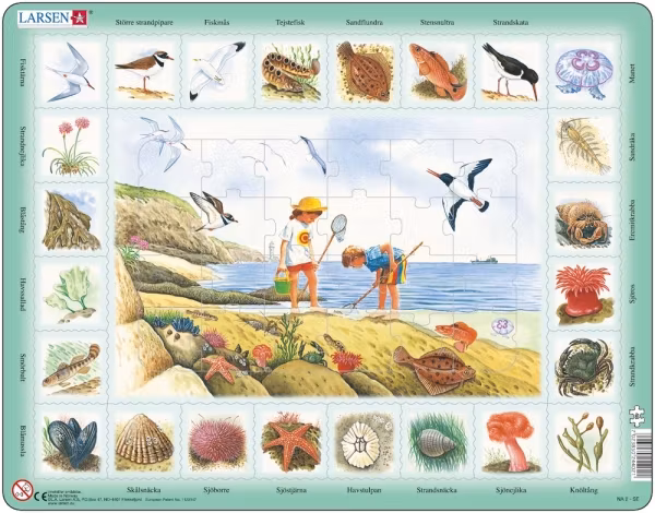 Natur strand - Larsen