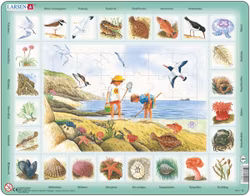 Natur strand - Larsen