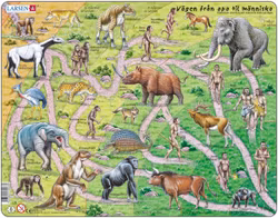 Människans utveckling - Larsen