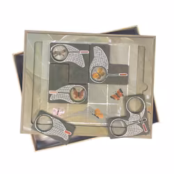 Magnetiskt spel fjäril