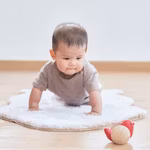 Bird Roller classic toy - PlanToys