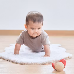 Bird Roller classic toy - PlanToys