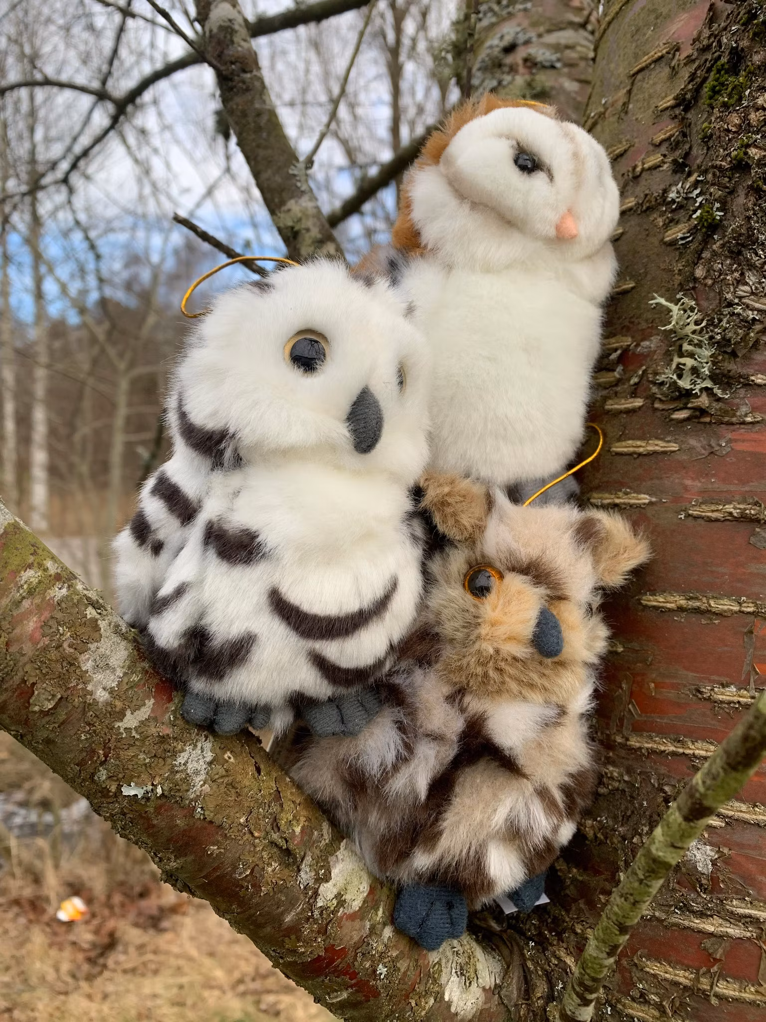 Hornuggla 3 färger plushie 13cm