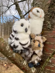 Hornuggla 3 färger plushie 13cm