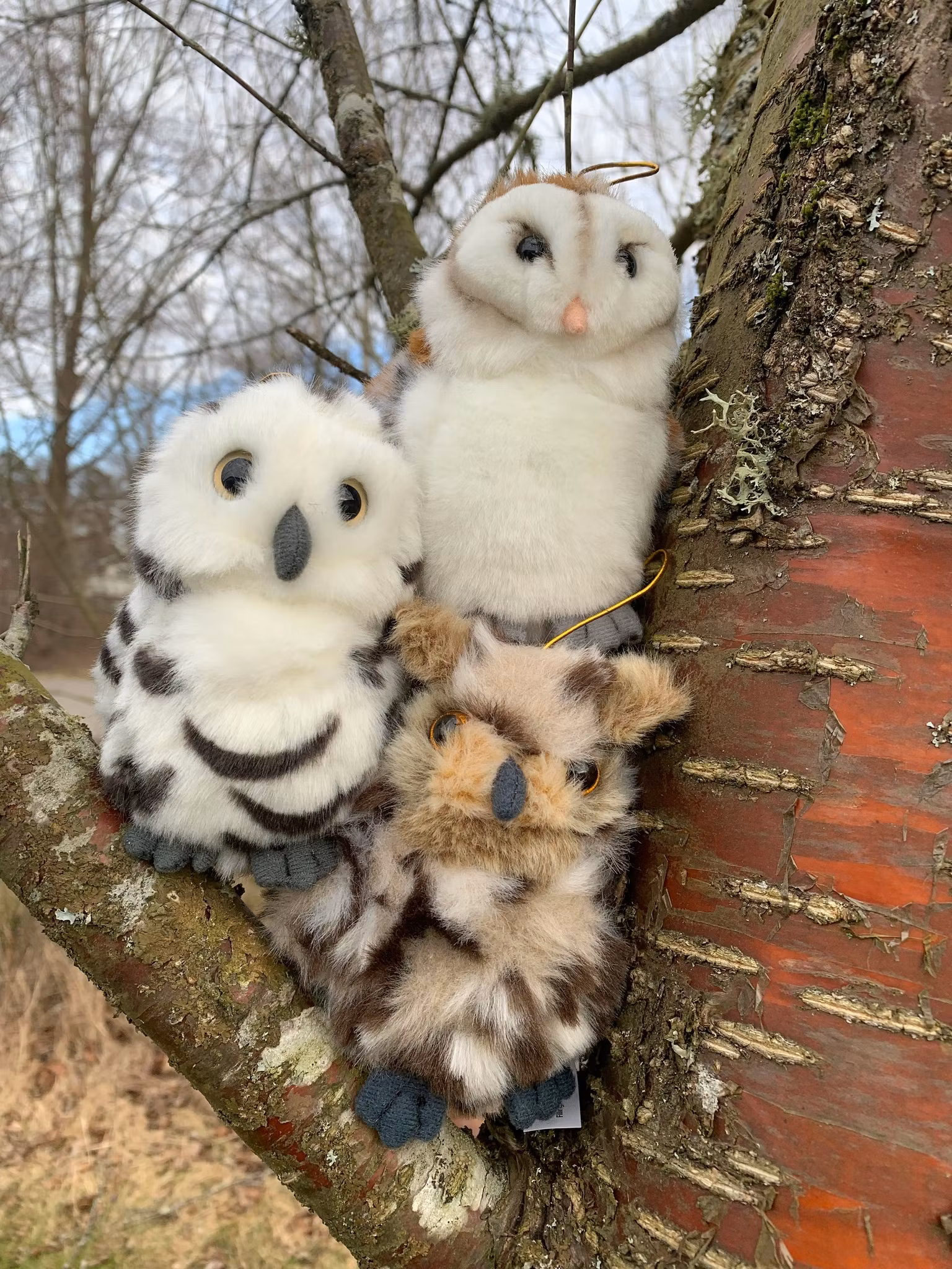 Hornuggla 3 färger plushie 13cm