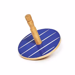 Träsnurra skalbagge