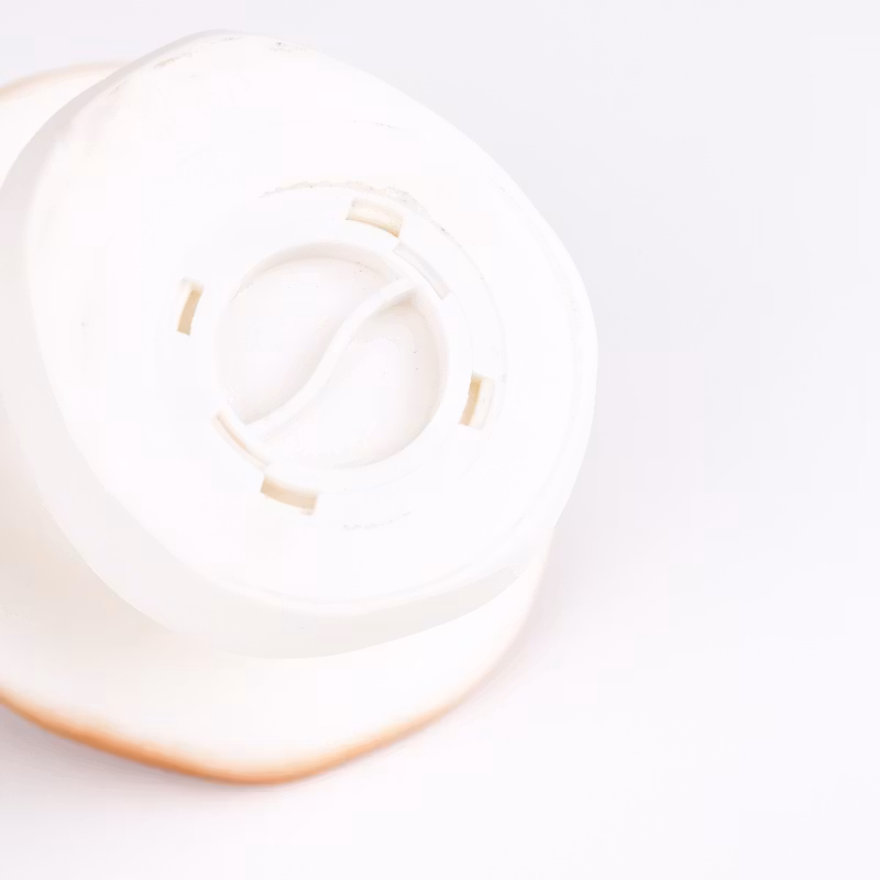 Sparbössa svamp koppar