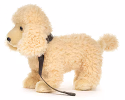 Pudel med koppel