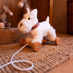 Dragleksaak Lola hund