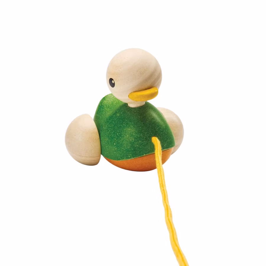 Pull-along duck