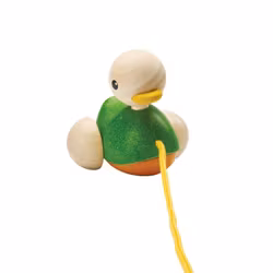 Pull-along duck