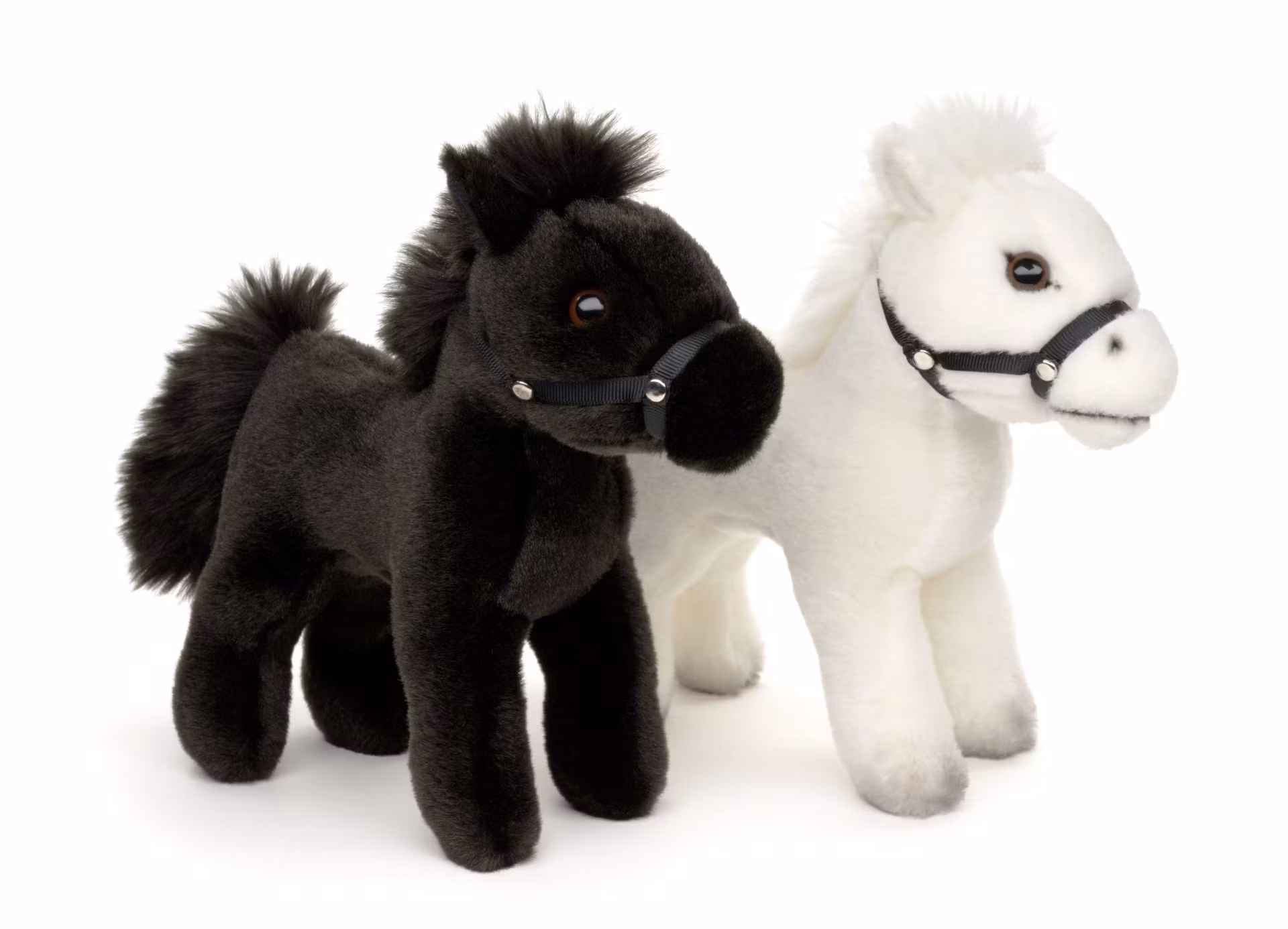 Häst stående svart/vit