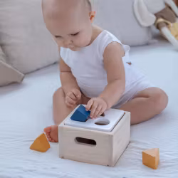 Sortera klossar i box