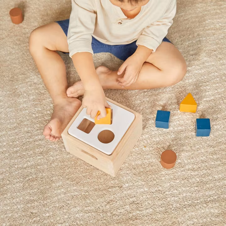 Sortera klossar i box