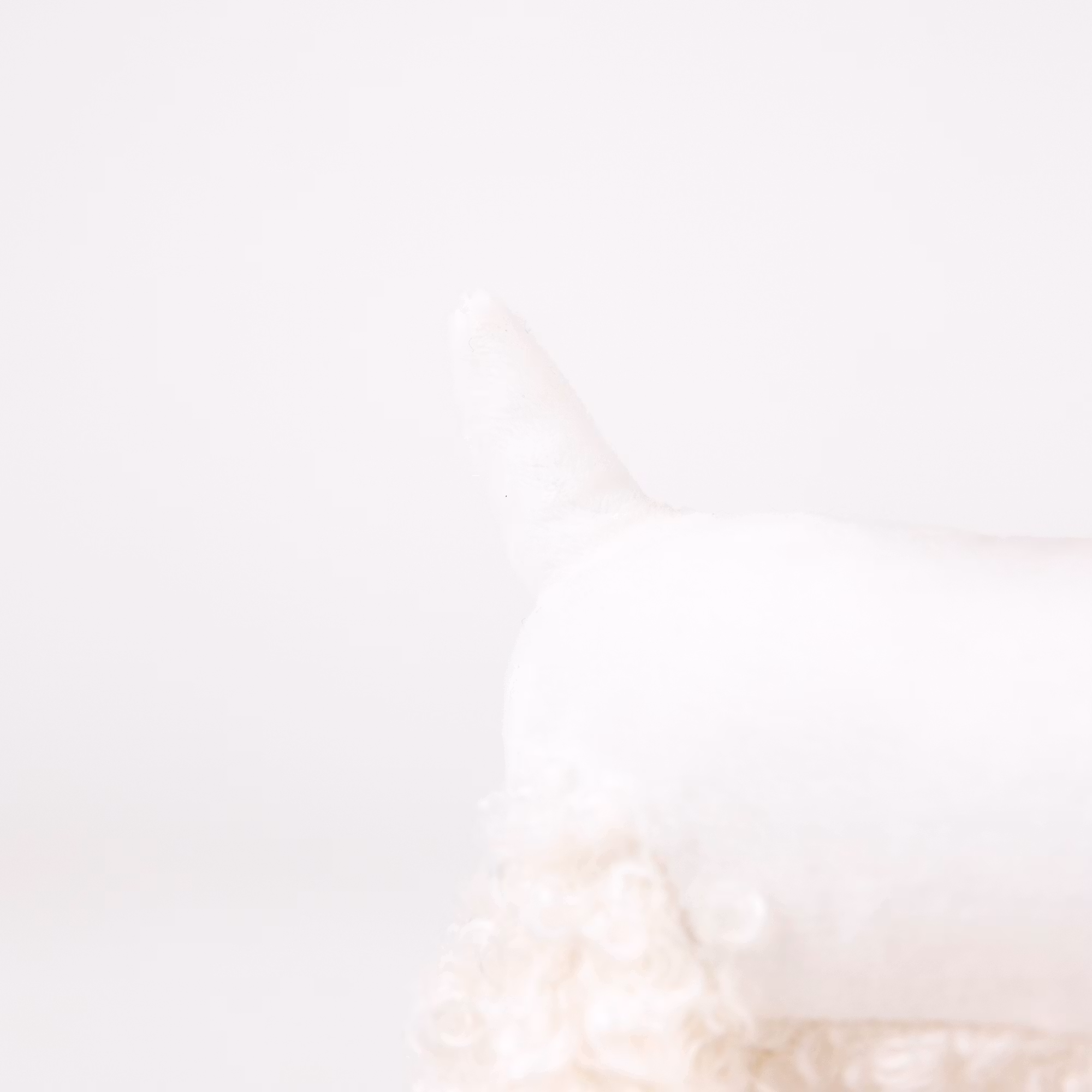 Lola - mjukisdjur liten