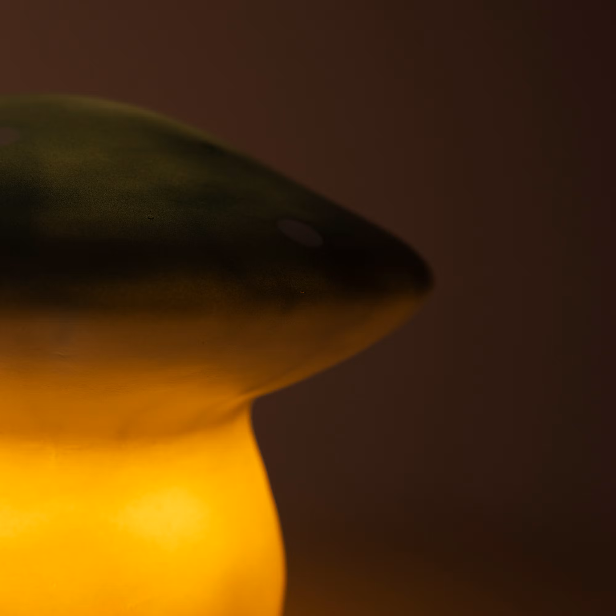 Svamplampa mellan blågrön