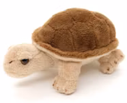 Sköldpadda 14cm
