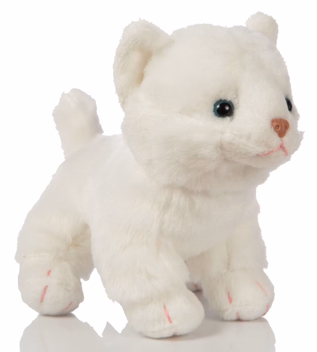 Kattungar stående 4-sorter