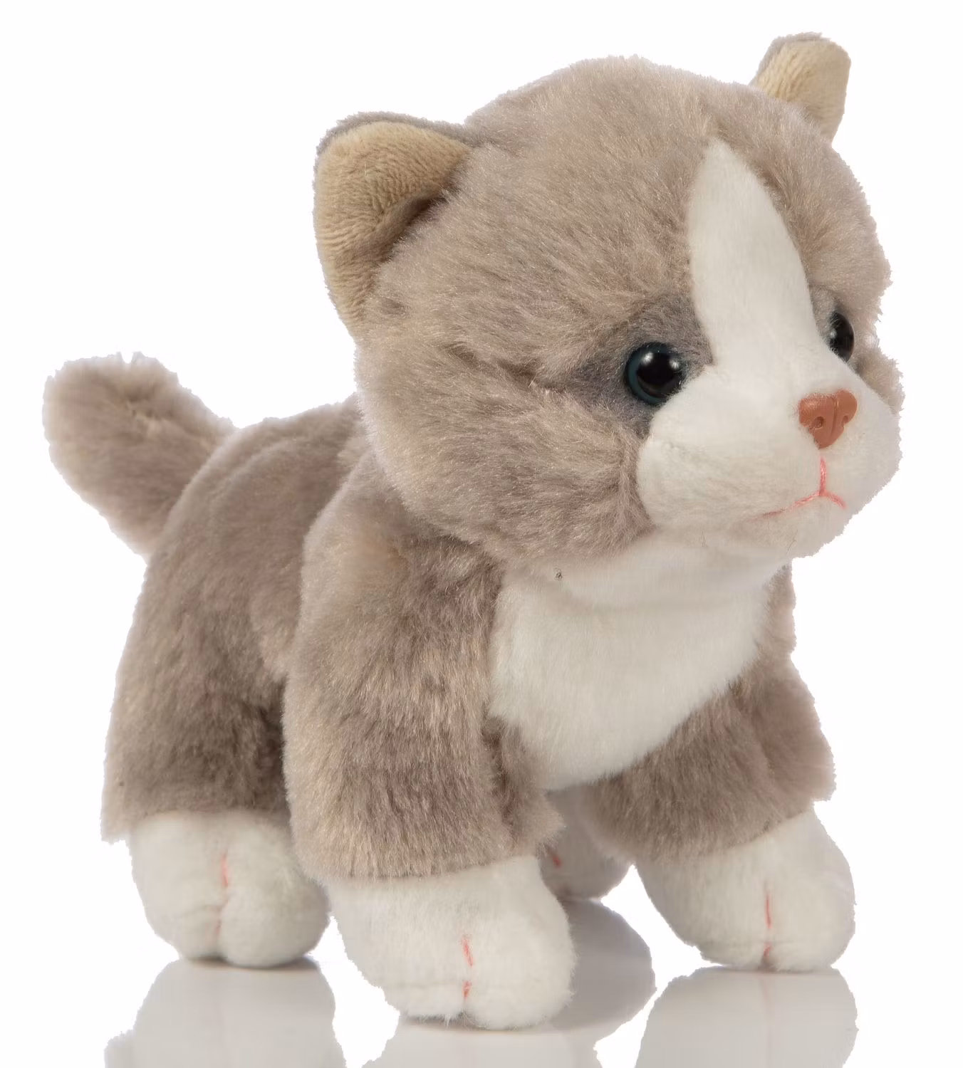 Kattungar stående 4-sorter
