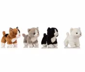 Kattungar stående 4-sorter