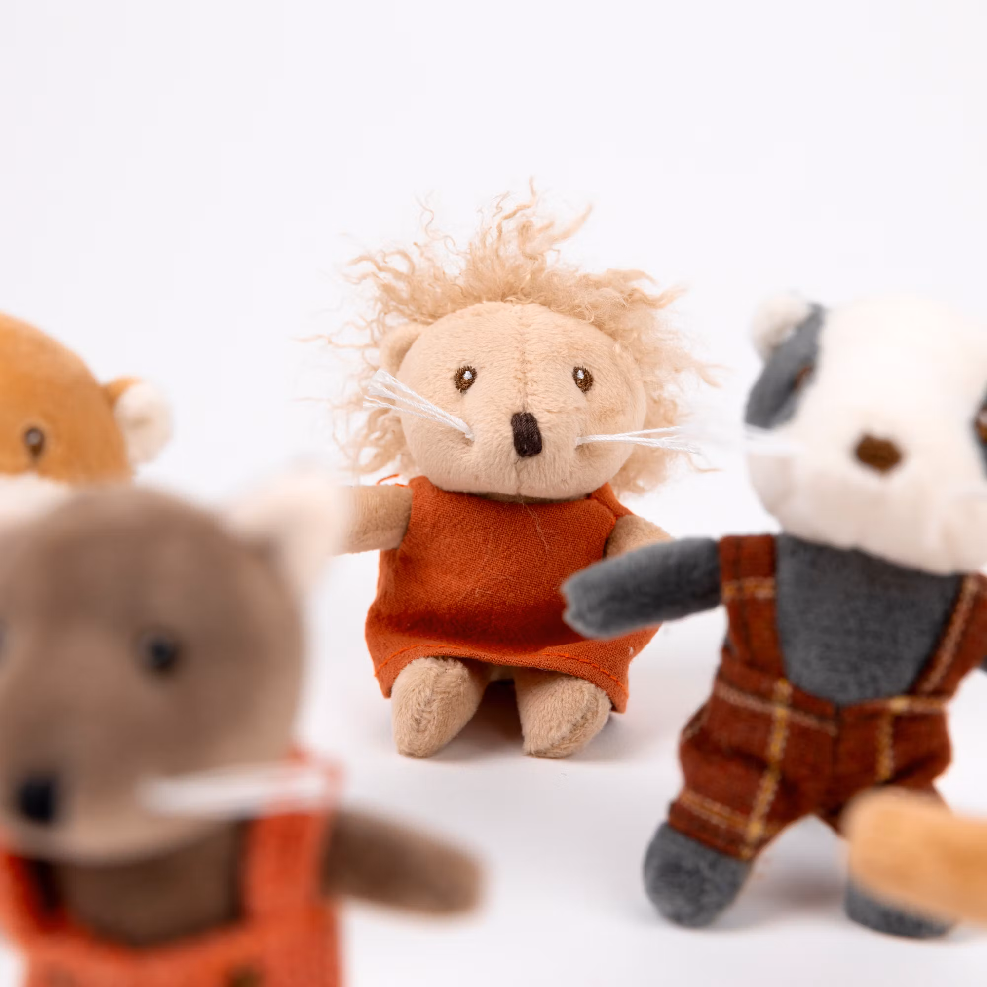 Igelkotten Chris - "mini friends"