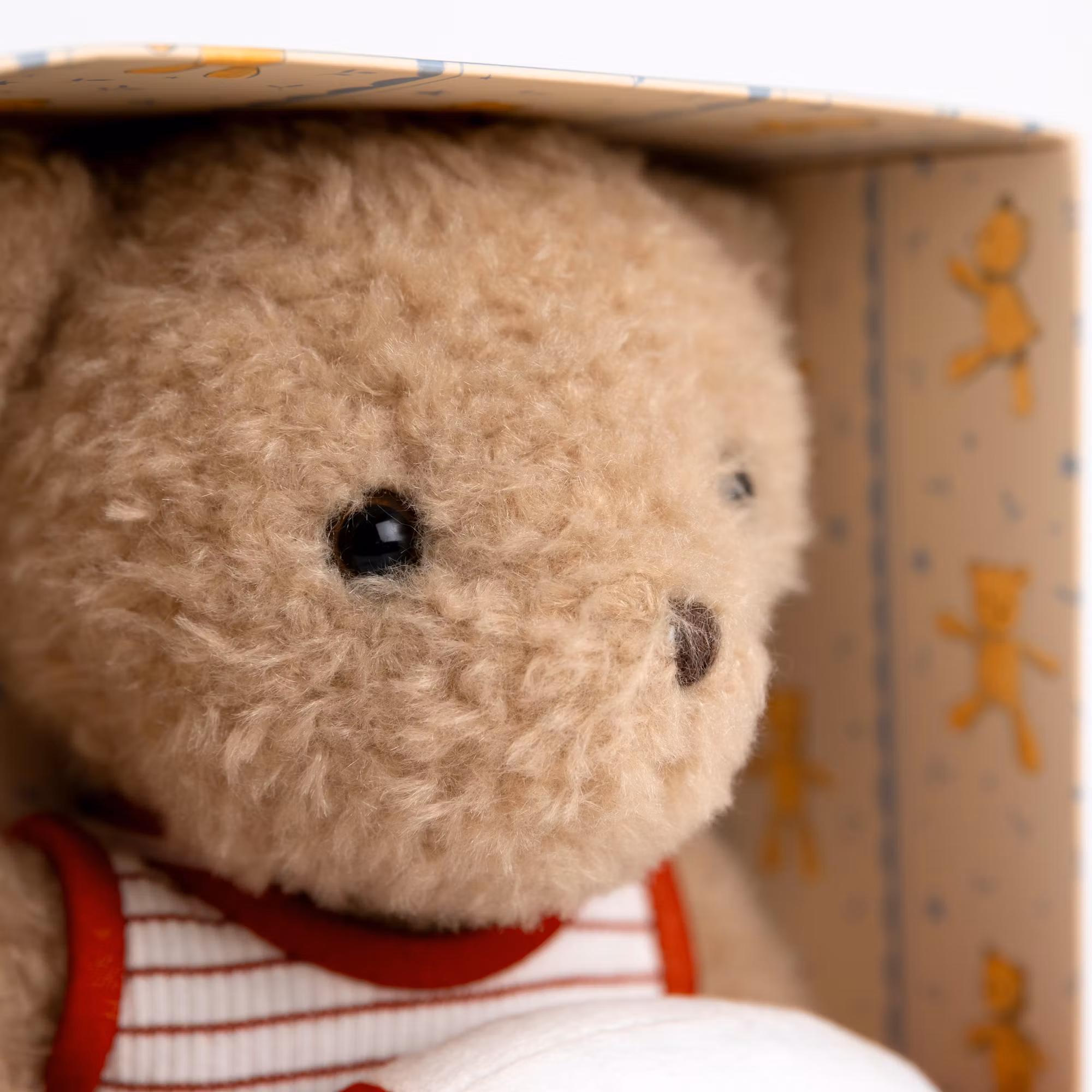 Simbjörn – presentförpackning