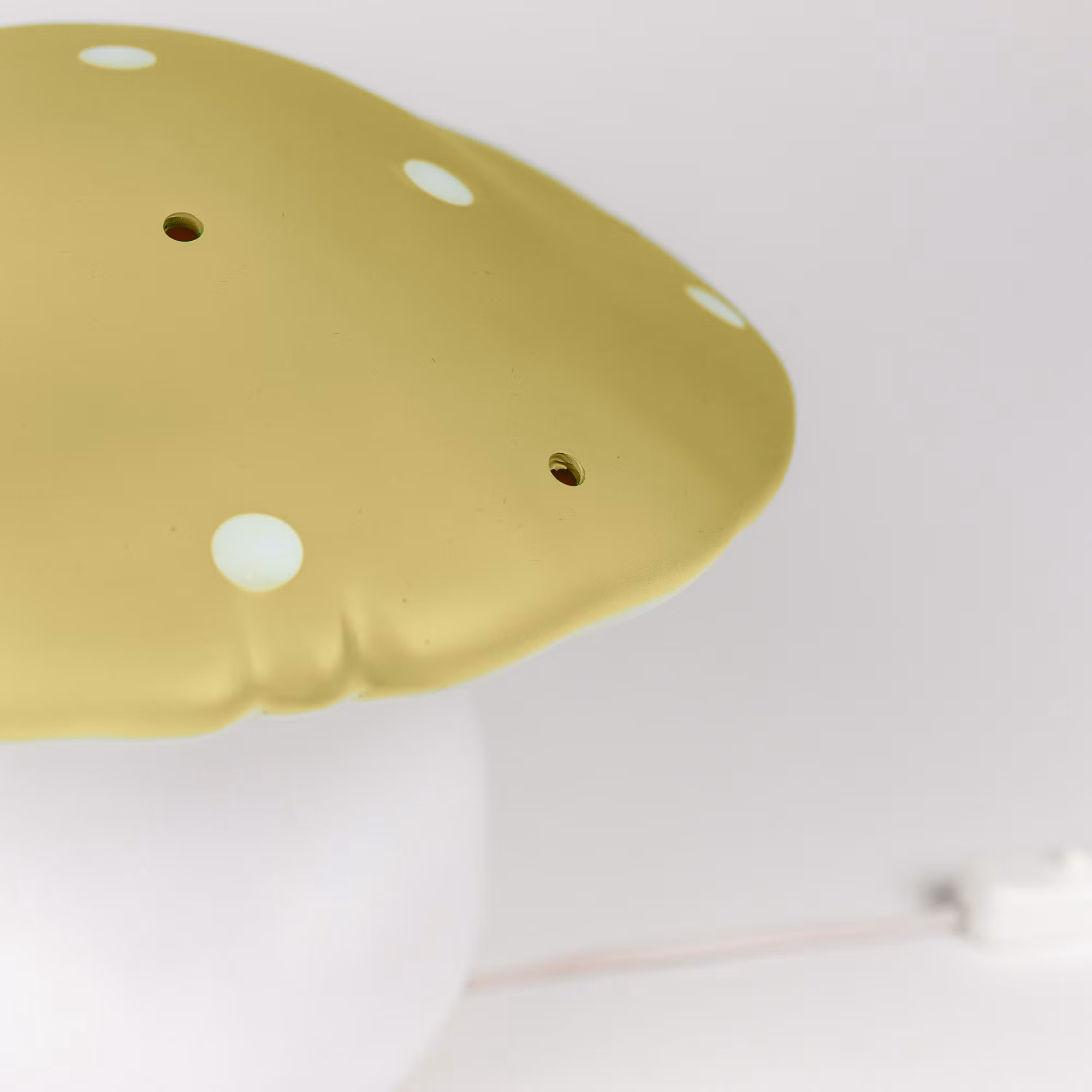 Svamplampa mellan citrongräs
