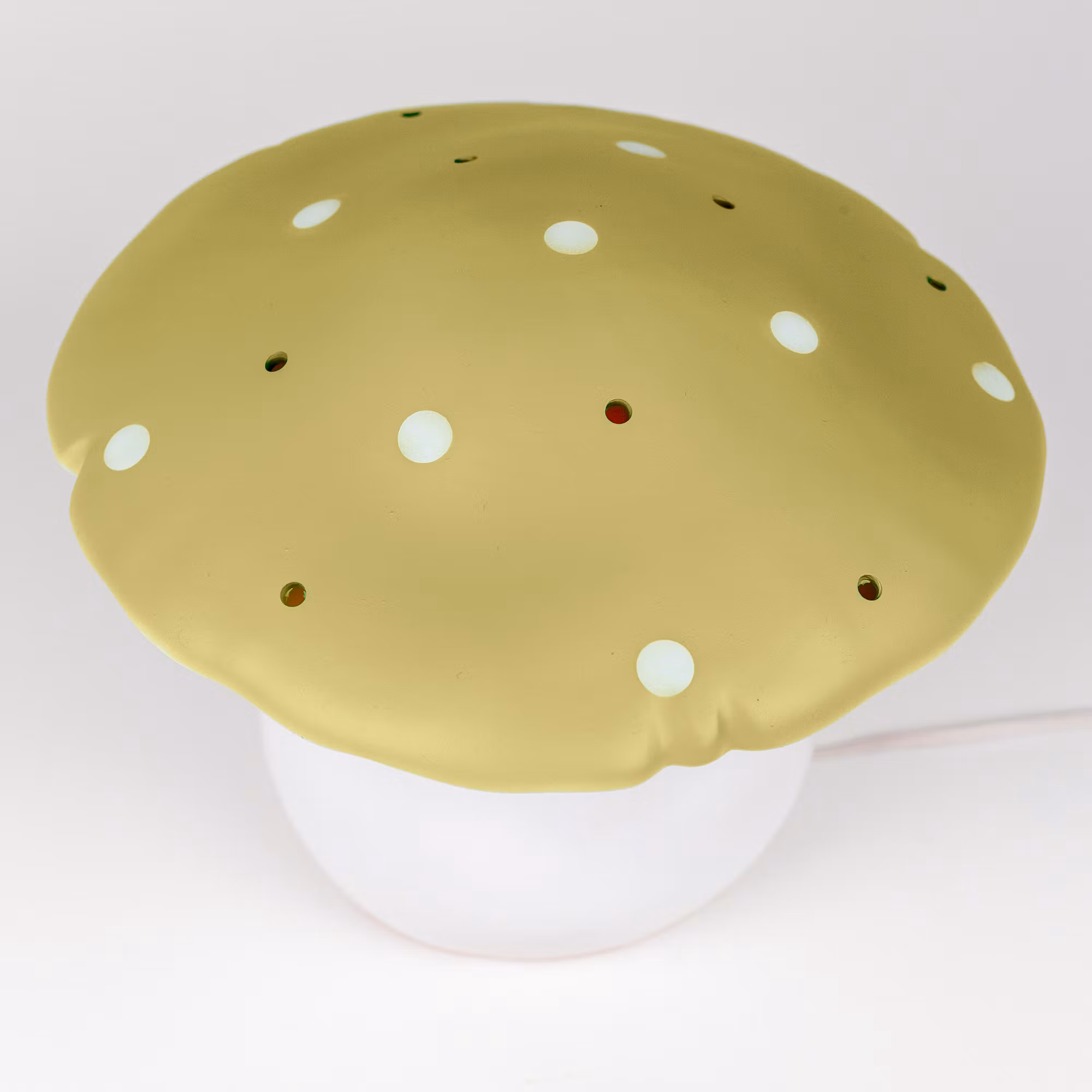 Svamplampa mellan citrongräs