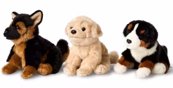 Hund sittande 3 sorter