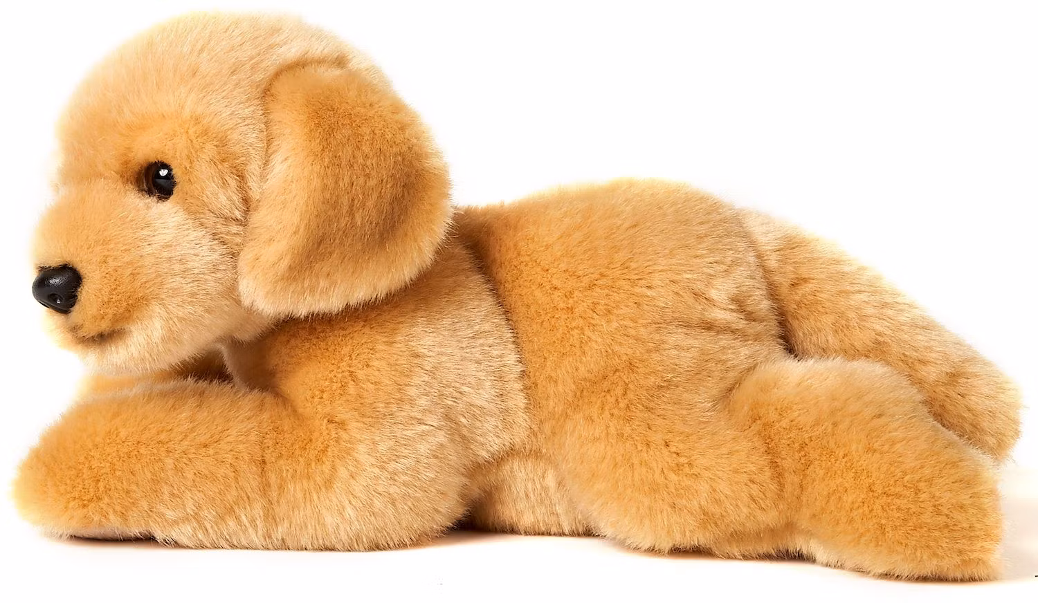 Golden retrivervalp liggande