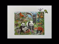 Djur i Kina - Larsen