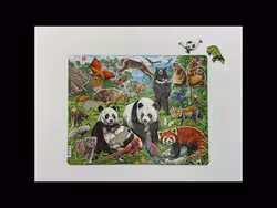 Djur i Kina - Larsen