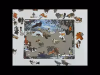 Nordiska djur vinter - Larsen