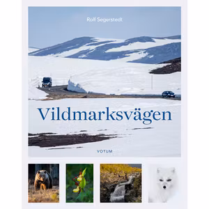 Vildmarksvägen
