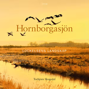 Hornborgasjön - REA