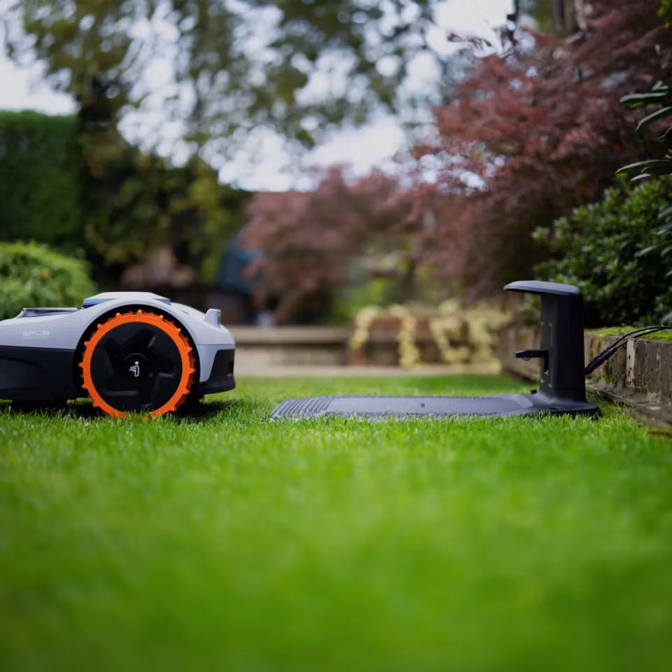 Riktigt bra robotgräsklippare, lågt pris, Se recensionerna