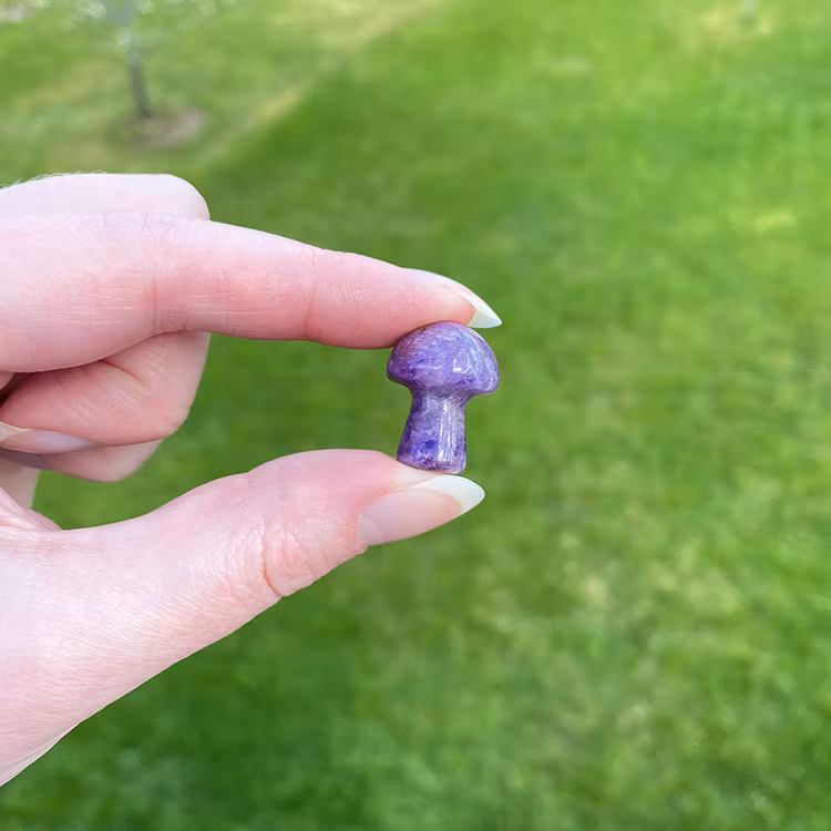 Ametist Svamp 2cm