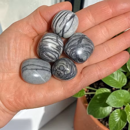 Jaspis Svart Spindelnät Trumlad sten