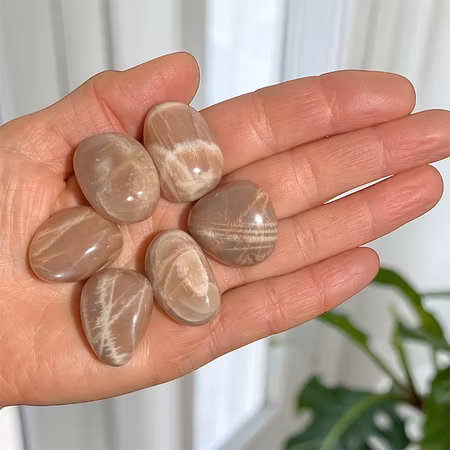 Månsten Rosa Trumlad sten