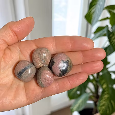 Rodonit Trumlad sten