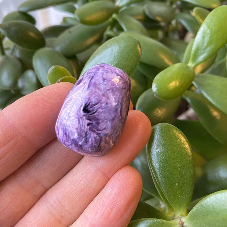 Charoit AA Hängsmycke (Droppe)