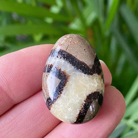 Septarian Hängsmycke (Droppe)