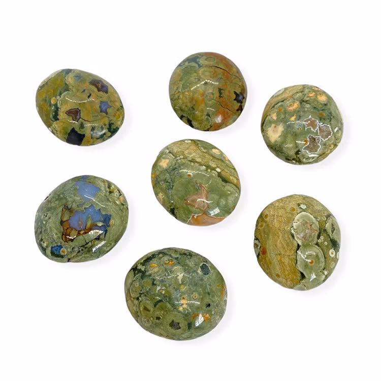 Regnskogsjaspis Handsten M