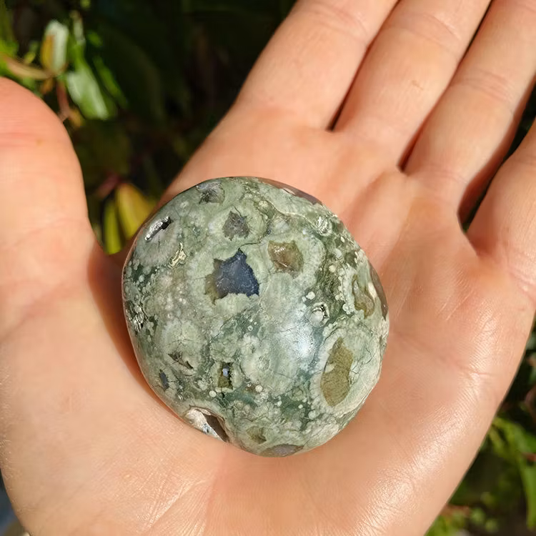 Regnskogsjaspis Handsten M