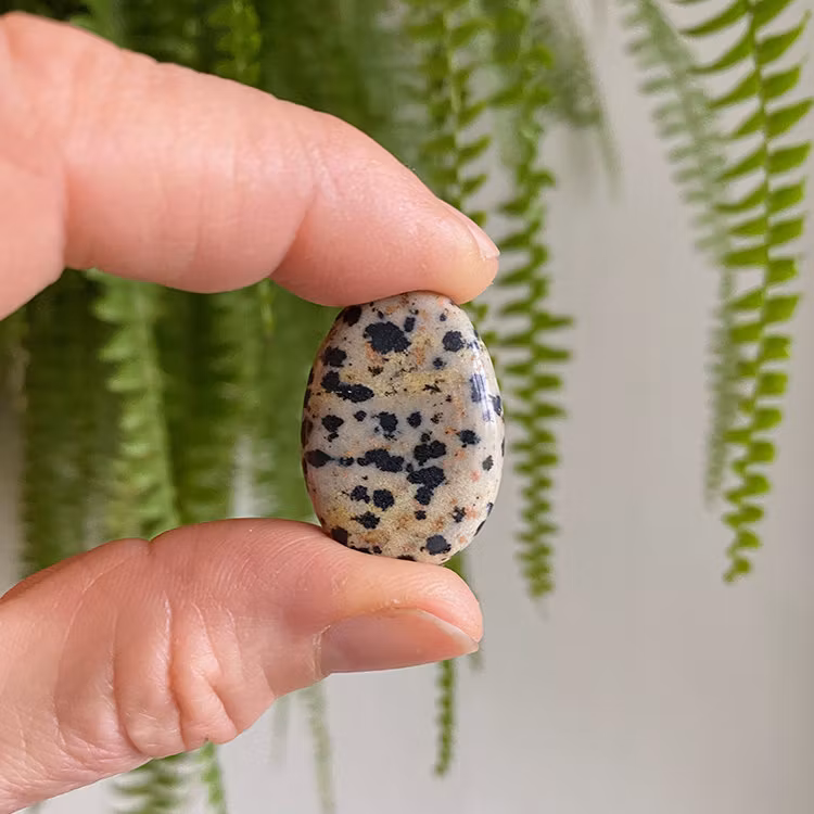 Jaspis Dalmatiner Hängsmycke (Droppe)