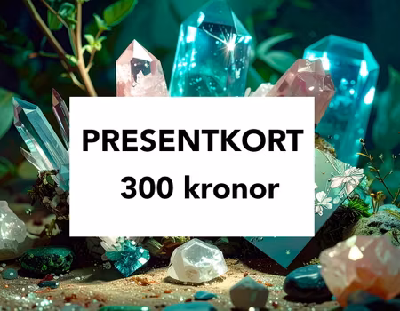 Presentkort 300 kr