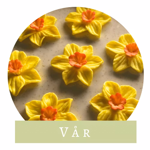 Miniatyrverkstaden > Vår
