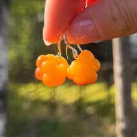 Hjortron örhängen