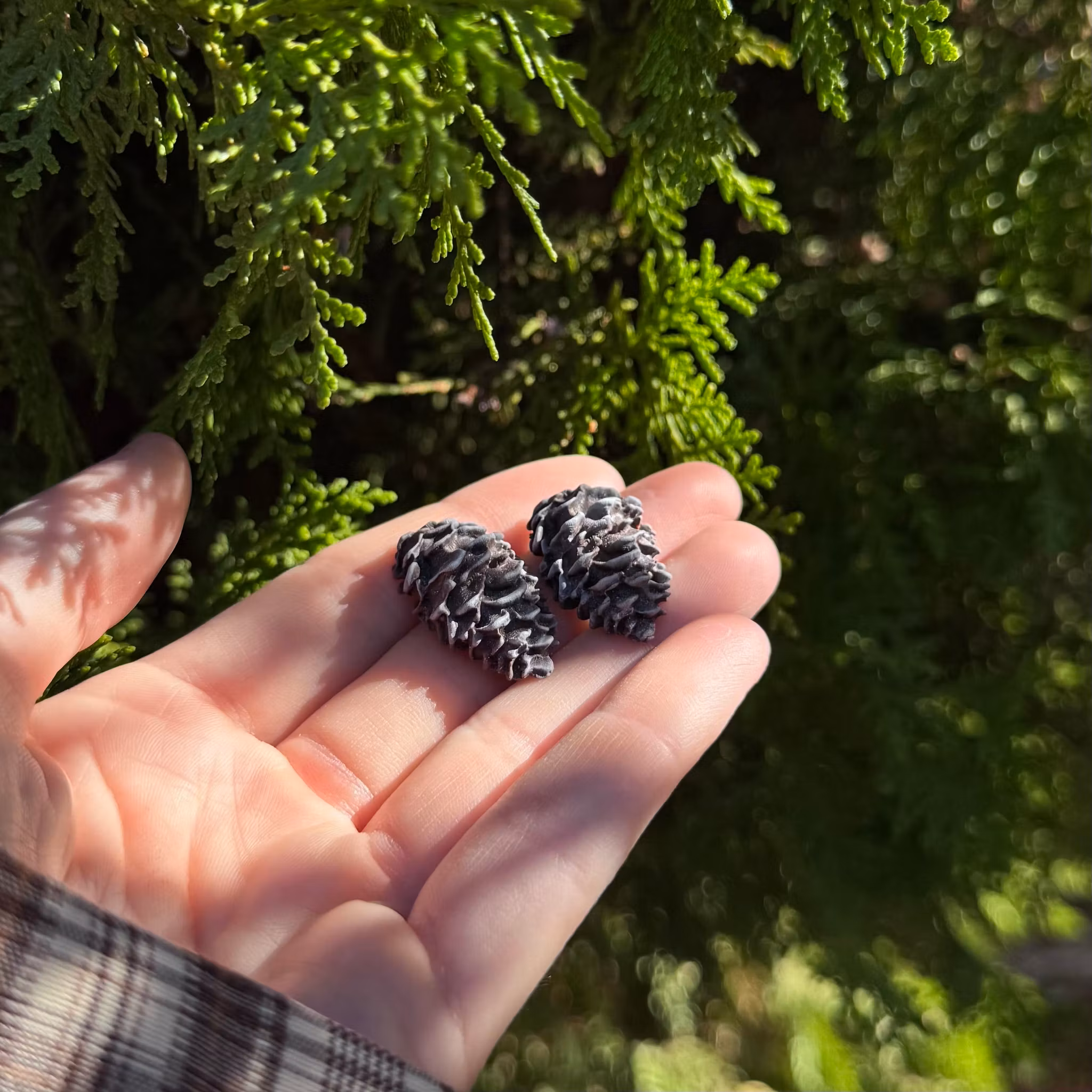 Grankottar örhängen