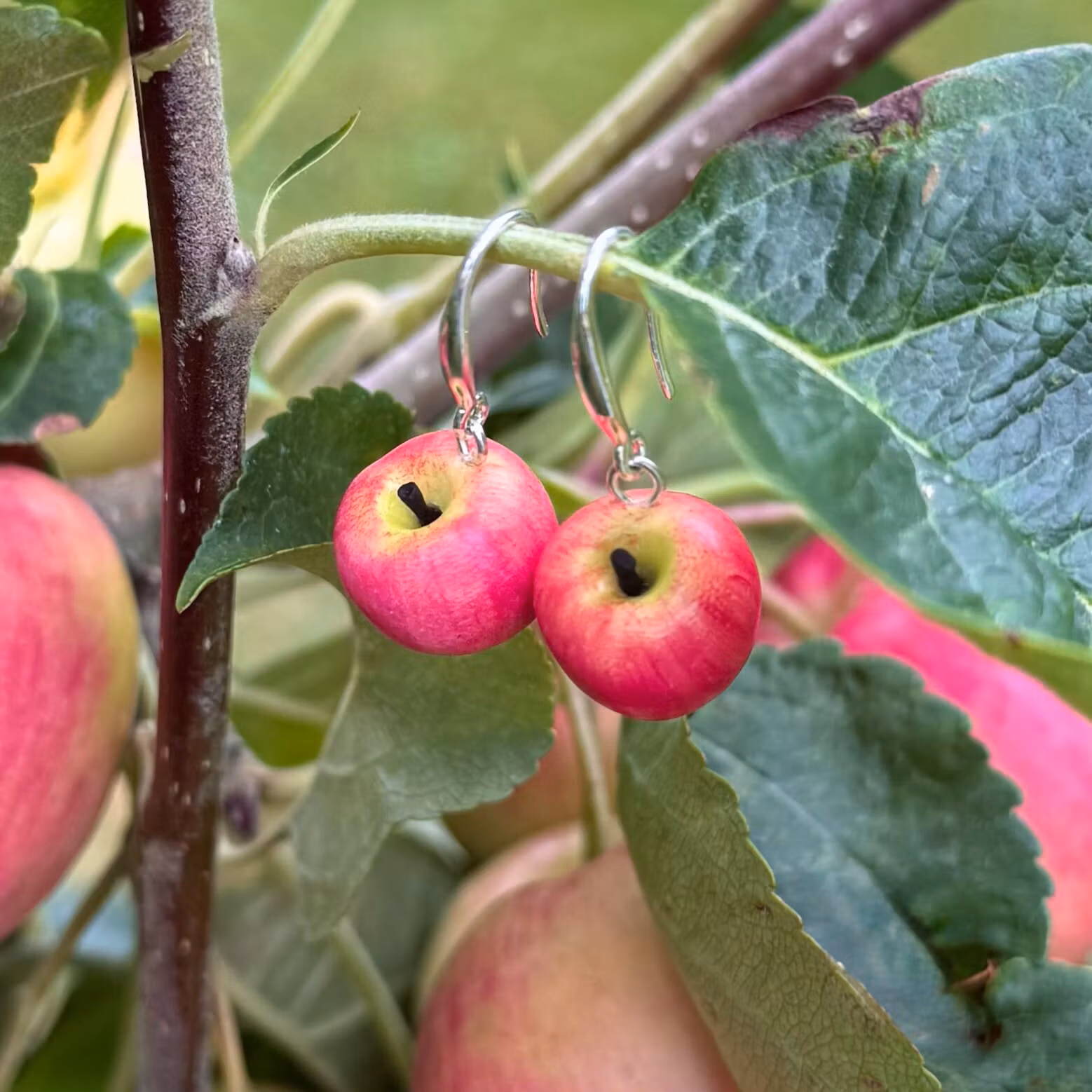 Äpplen Pink Lady örhängen